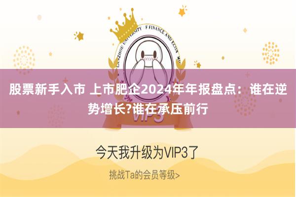 股票新手入市 上市肥企2024年年报盘点：谁在逆势增长?谁在承压前行