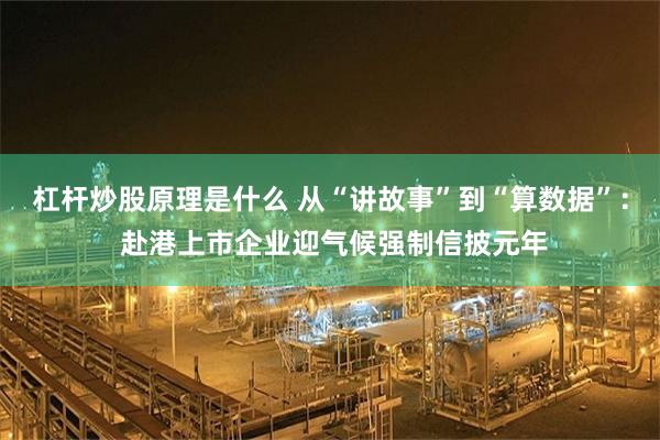 杠杆炒股原理是什么 从“讲故事”到“算数据”： 赴港上市企业迎气候强制信披元年