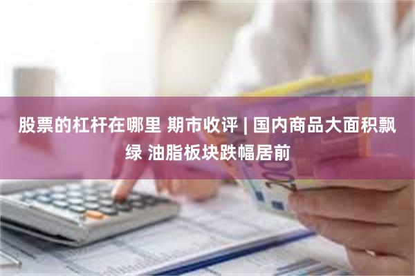 股票的杠杆在哪里 期市收评 | 国内商品大面积飘绿 油脂板块跌幅居前