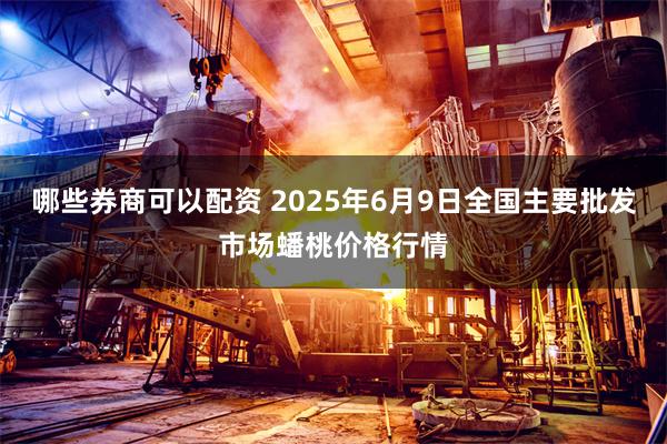 哪些券商可以配资 2025年6月9日全国主要批发市场蟠桃价格行情
