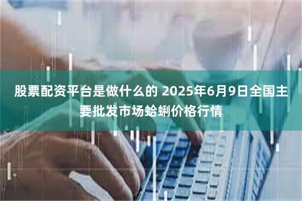 股票配资平台是做什么的 2025年6月9日全国主要批发市场蛤蜊价格行情
