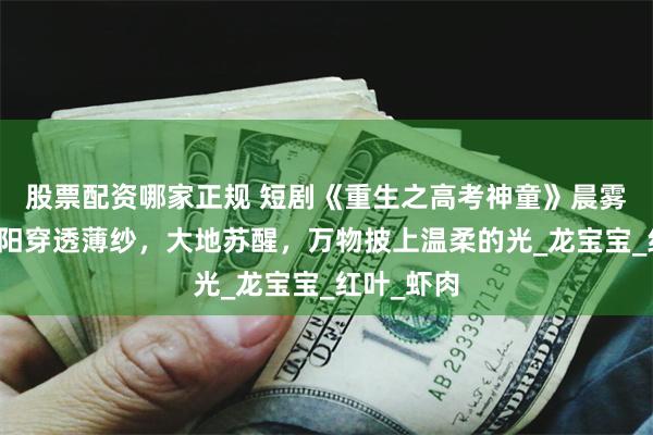 股票配资哪家正规 短剧《重生之高考神童》晨雾弥漫，朝阳穿透薄纱，大地苏醒，万物披上温柔的光_龙宝宝_红叶_虾肉